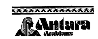 ANTARA ARABIANS logo