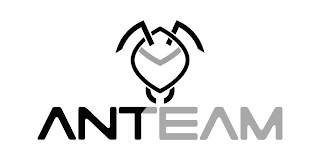 ANTEAM logo