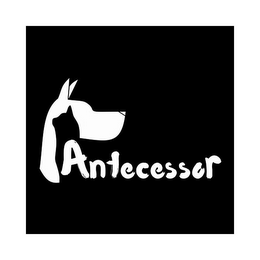 ANTECESSOR logo