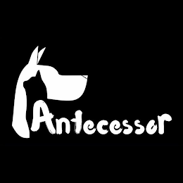 ANTECESSOR logo