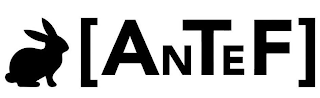 ANTEF logo