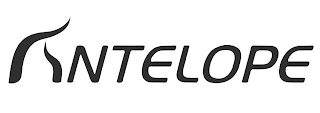 ANTELOPE logo