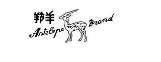 ANTELOPE BRAND logo