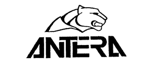 ANTERA logo