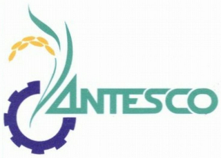ANTESCO logo