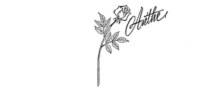 ANTHE logo