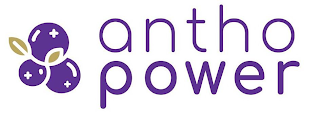 ANTHO POWER logo