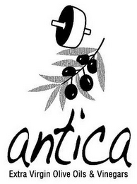 ANTICA EXTRA VIRGIN OLIVE OILS & VINEGARS logo