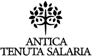 ANTICA TENUTA SALARIA logo