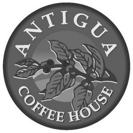ANTIGUA COFFEE HOUSE logo