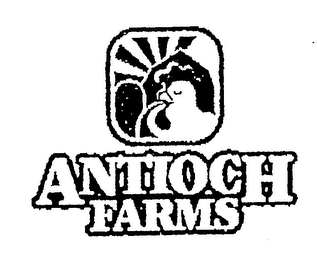 ANTIOCH FARMS logo