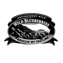 ANTIOXIDANT RICH WILD BLUEBERRIES PREMIUM BY NATURE logo
