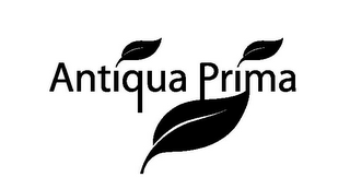 ANTIQUA PRIMA logo