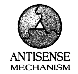 ANTISENSE MECHANISM logo