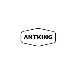 ANTKING logo