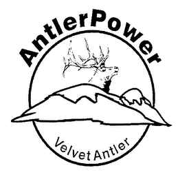 ANTLERPOWER VELVET ANTLER logo