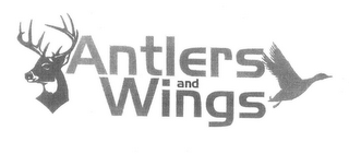 ANTLERS AND WINGS logo