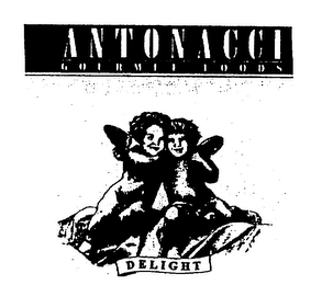 ANTONACCI GOURMET FOODS DELIGHT logo