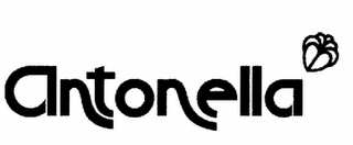 ANTONELLA