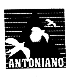 ANTONIANO logo