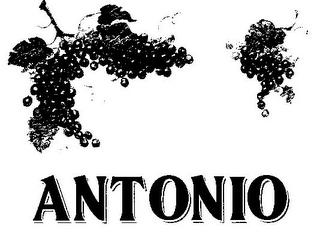 ANTONIO logo