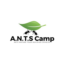 A.N.T.S. CAMP ARTS NATURE TEAM BUILDING SPANISH logo