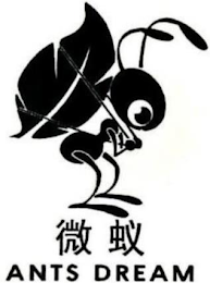 ANTS DREAM logo