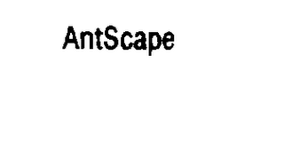 ANTSCAPE logo