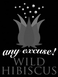 ANY EXCUSE! WILD HIBISCUS logo