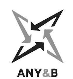 ANY&B logo