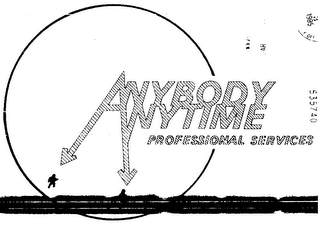 ANYBODY ANYTIME PROFESSIONAL SERVICES logo