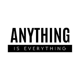 ANYTHING IS EVERYTHING logo