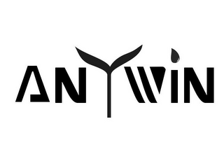 ANYWIN logo