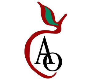 AO logo