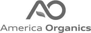 AO AMERICA ORGANICS logo