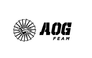 AOG FEAM logo