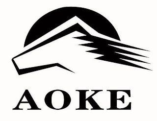 AOKE logo