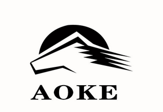 AOKE logo