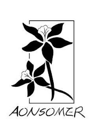 AONSOMER logo
