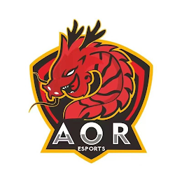 AOR ESPORTS logo