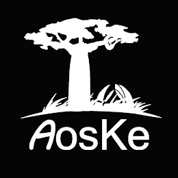 AOSKE logo