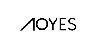 AOYES logo