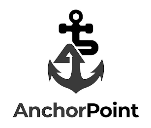 AP ANCHOR POINT logo