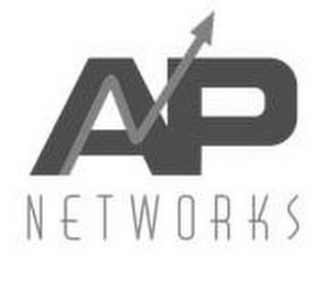 AP NETWORKS logo