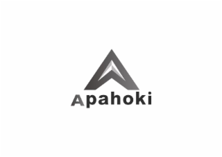 APAHOKI logo