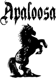 APALOOSA logo