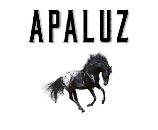APALUZ logo