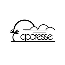 APARESSE logo