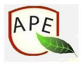 APE logo