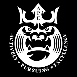 APE ACTIVELY PURSUING EXCELLENCE logo